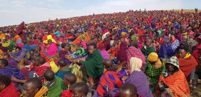 Tens of thousands of Maasai gather to protest against their eviction from the Ngorongoro Conservation Area in Tanzania, August 22, 2024. Julius Laitayok/Handout via Thomson Reuters Foundation