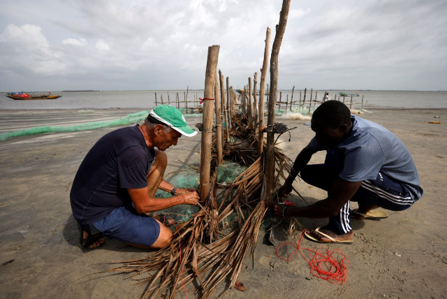 Volunteers add dry coconut branches at the bottom of the Maltais-Savard Ears System, used to hold back sediments and counter the erosion of the shoreline during low tide in Diogue island, Senegal July 14, 2022. REUTERS/Zohra Bensemra