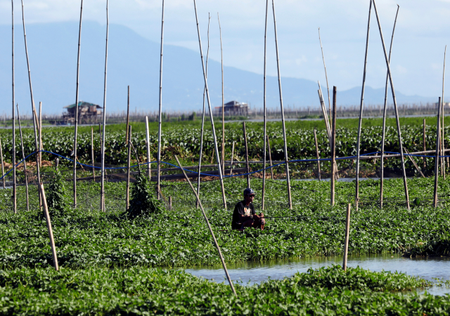 A man is fishing at Laguna Lake in Taguig, metro Manila, Philippines February 28, 2018. REUTERS/Dondi Tawatao