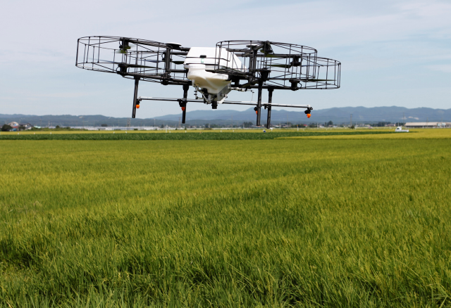 An automated drone flies over rice plants in Tome, Miyagi prefecture Japan August 20, 2018. REUTERS/Yuka Obayashi